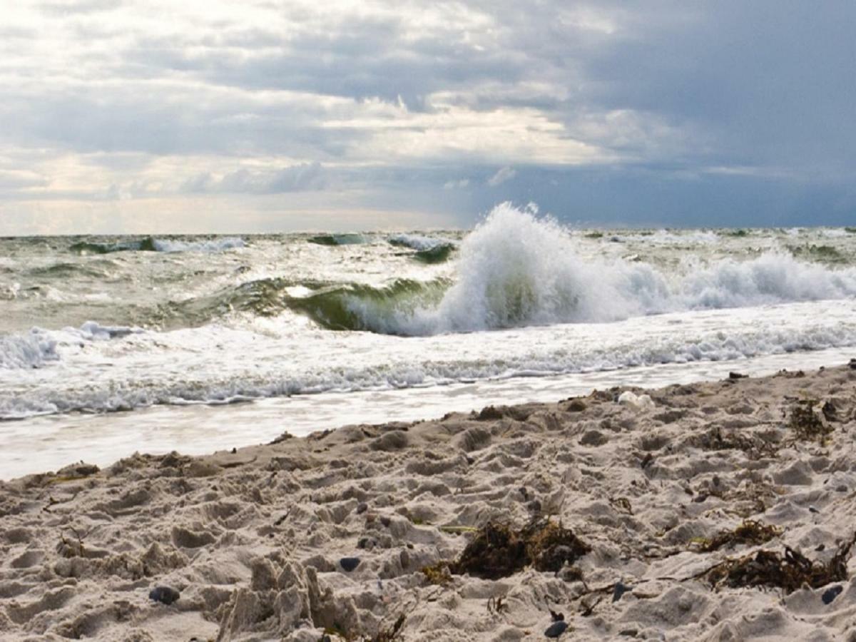 Tu Hus In Linde Eck Villa Zingst Exteriör bild